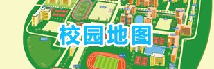 公开信息按发布时间滚动