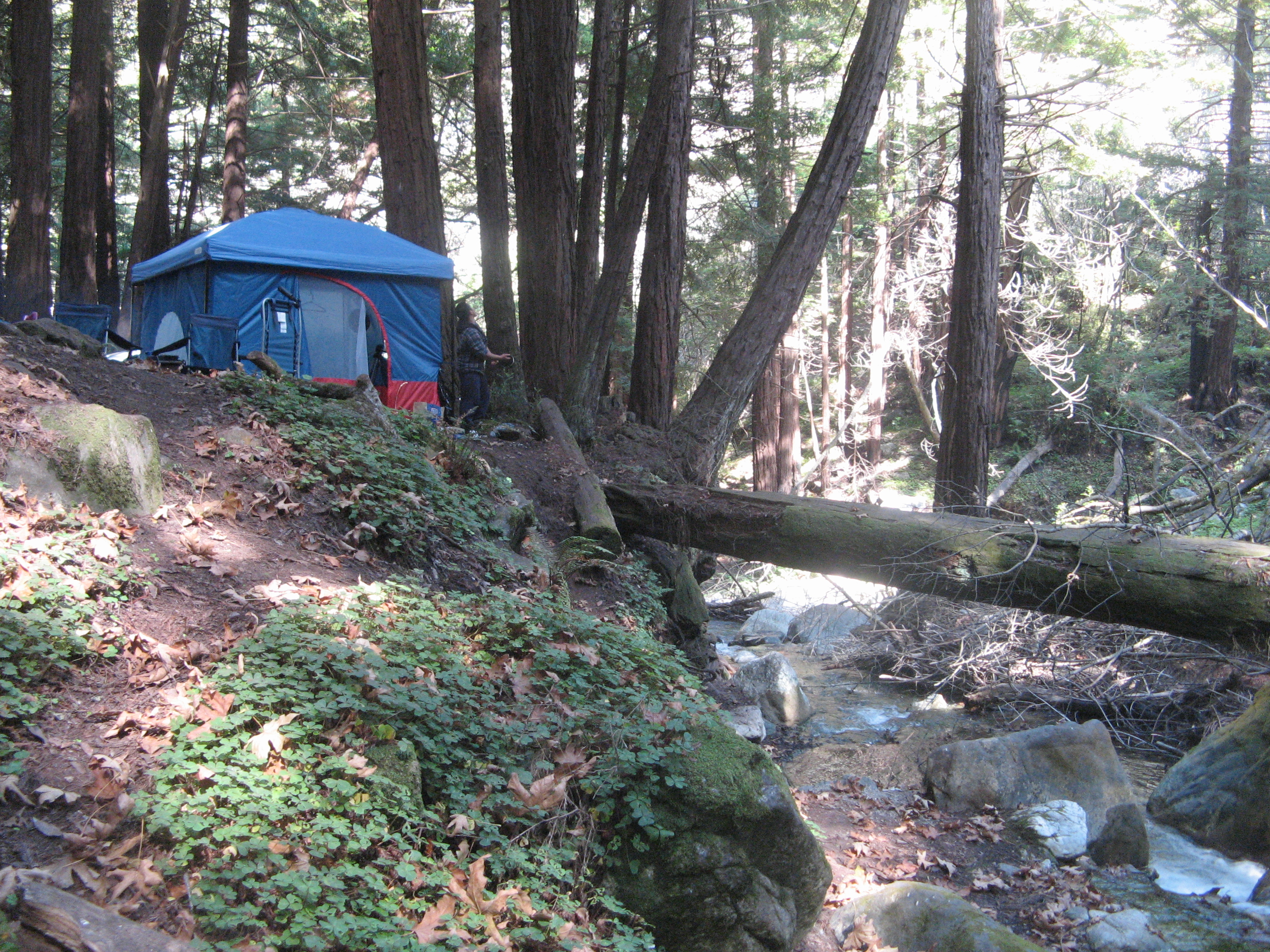 In the woods with a Standing Room Tent